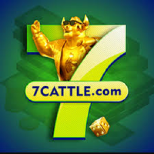 Profile photo of qwe